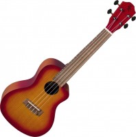 Gitara Baton Rouge VX2/CCE 