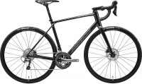 Zdjęcia - Rower Merida Scultura Endurance 300 2024 frame XXS 