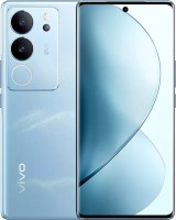 Фото - Мобільний телефон Vivo V29 Pro 256 ГБ / 8 ГБ