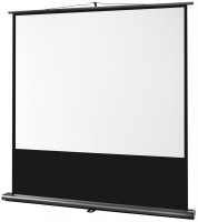 Проєкційний екран Celexon Ultramobile Professional 160x120 