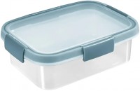 Харчовий контейнер Curver Smart Fresh Eco 1L 