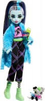 Lalka Monster High Creepover Party Frankie Stein HKY68 