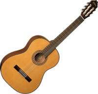 Gitara Washburn C40 