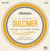 Фото - Струни DAddario Dulcimer 12-22 