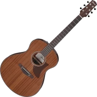 Гітара Ibanez AAM54 