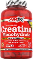 Креатин Amix Creatine Monohydrate 750 mg 220 шт