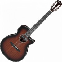 Гітара Ibanez AEG74N 