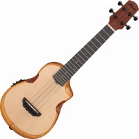 Gitara Ibanez AUC10E 