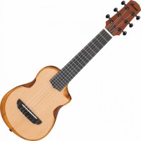 Gitara Ibanez AUP10N 