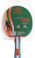 Ракетка для настільного тенісу SMJ Sport Progress 300 
