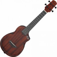 Gitara Ibanez AUC14 