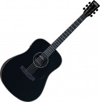 Zdjęcia - Gitara Fiesta FD-60 EQ 