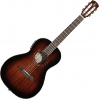 Zdjęcia - Gitara Alvarez MPA66ESHB 