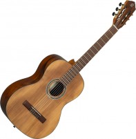 Гітара Ortega R23RO 