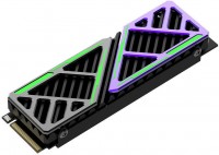 SSD HIKSEMI Future HS-SSD-FUTUREX 1024G 1.02 ТБ з радіатором