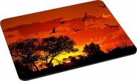 Фото - Килимок для мишки Pedea Gaming Office Mauspad L African Sunset 