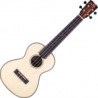 Zdjęcia - Gitara Cordoba 21T 