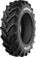 Фото - Вантажна шина TVS AR800 280/85 R20 115D 