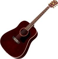 Фото - Гітара Washburn WD100DL 