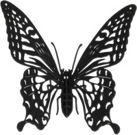 Zdjęcia - Puzzle 3D Fridolin Butterfly 11607 