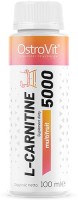 Фото - Спалювач жиру OstroVit L-Carnitine 5000 100 ml 100 мл