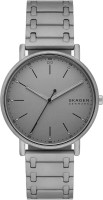 Фото - Наручний годинник Skagen Signatur SKW6913 