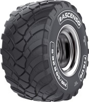 Zdjęcia - Opona ciężarowa Ascenso FTR 170 620/40 R22.5 154D 