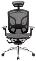 Zdjęcia - Fotel komputerowy GT Chair Dvary X 