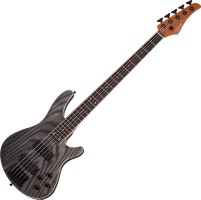 Фото - Електрогітара / бас-гітара Schecter C-5 Standard 