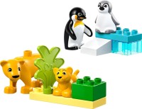 Klocki Lego Wild Animal Families Penguins and Lions 10442 