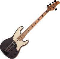 Фото - Електрогітара / бас-гітара Schecter Model-T 5 Exotic Ziricote 