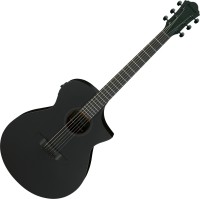 Zdjęcia - Gitara Ibanez AEWC621 