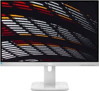 Zdjęcia - Monitor AOC 24P1/GR szary