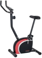 Zdjęcia - Rower stacjonarny York Fitness Performance Upright Bike 