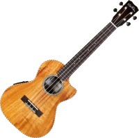 Zdjęcia - Gitara Cordoba 25T-Ce 