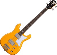 Фото - Електрогітара / бас-гітара Epiphone Newport Bass 