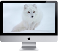 Фото - Персональний комп'ютер Apple iMac 21.5" 2013 (Z0PE00058)
