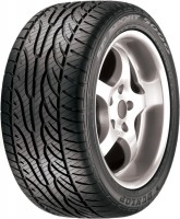 Фото - Шини Dunlop SP Sport 5000M 225/45 R17 91V 