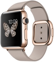 Zdjęcia - Smartwatche Apple Watch 1 Edition  38 mm