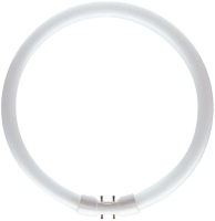 Żarówka Philips MASTER TL5 Circular 22W 3000K 2GX13 