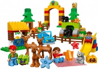 Фото - Конструктор Lego Forest 10584 
