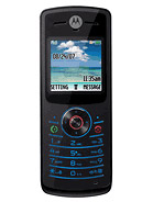 Фото - Мобільний телефон Motorola W175 0 Б
