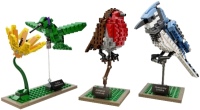 Фото - Конструктор Lego Birds 21301 
