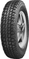 Фото - Шини Forward Professional 156 185/75 R16C 104R 