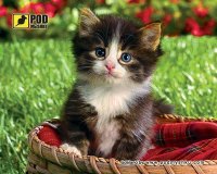 Фото - Килимок для мишки Pod myshku Kitten in a Basket 