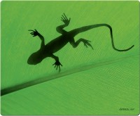 Фото - Килимок для мишки Speed-Link Gecko 