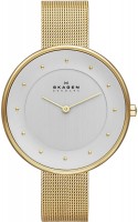 Наручний годинник Skagen SKW2141 