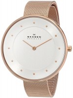 Zdjęcia - Zegarek Skagen SKW2142 