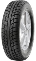 Zdjęcia - Opona Targum Winter 3 205/55 R16 91T 