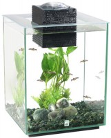 Zdjęcia - Akwarium HAGEN Fluval Chi 19 l